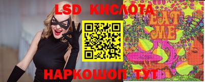 PSILOCYBIN Заводоуковск