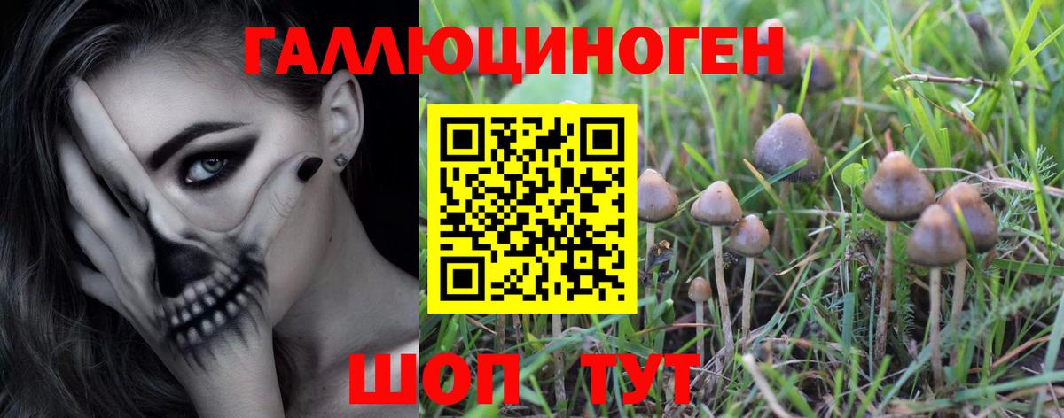 где купить наркоту  Вход с VPN  Лосино-Петровский  Галлюциногенные грибы Magic Shrooms 